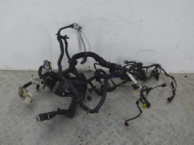 Проводка двигателя Nissan Qashqai (J10) (2006-2014)