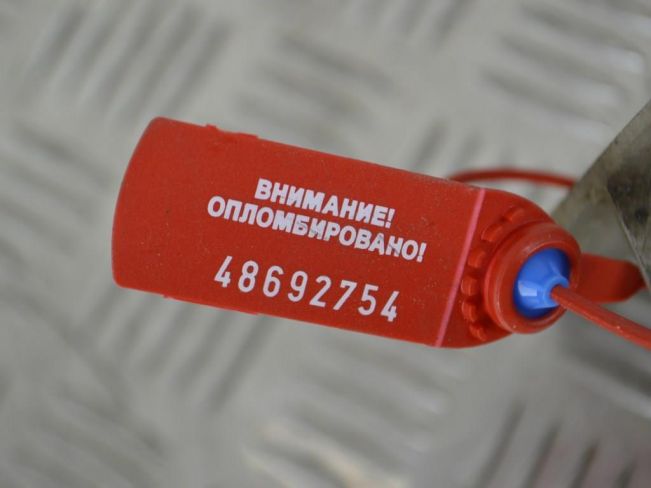 Усилитель бампера заднего Renault Scenic 2 (2003-2009)
