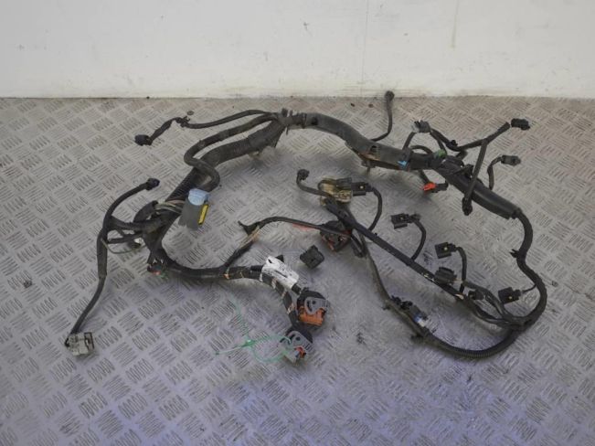 Проводка двигателя Citroen C4 Picasso (2006-2013)