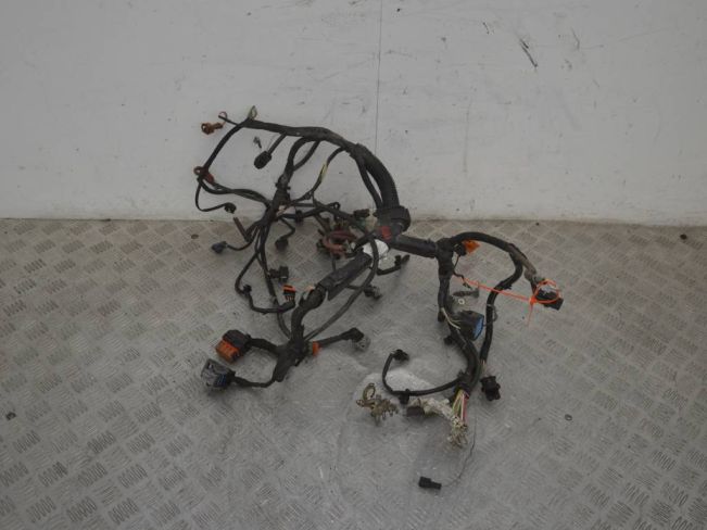 Проводка двигателя Renault Clio 3 (2005-2012)