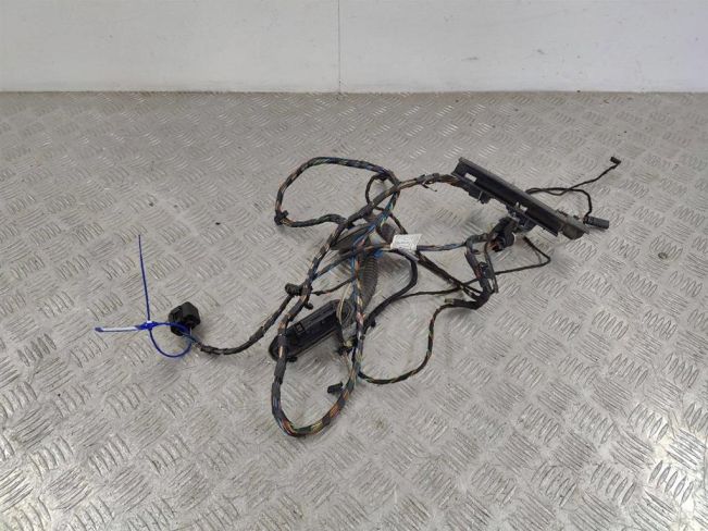 Проводка двери задней правой BMW X5 E70