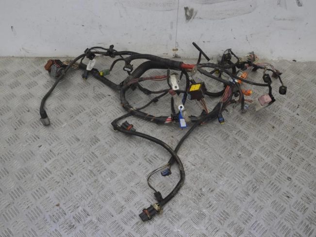 Проводка двигателя Renault Megane 2 (2002-2008)