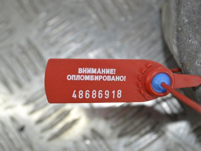 Кронштейн двигателя Renault Scenic RX4 (1999-2003)