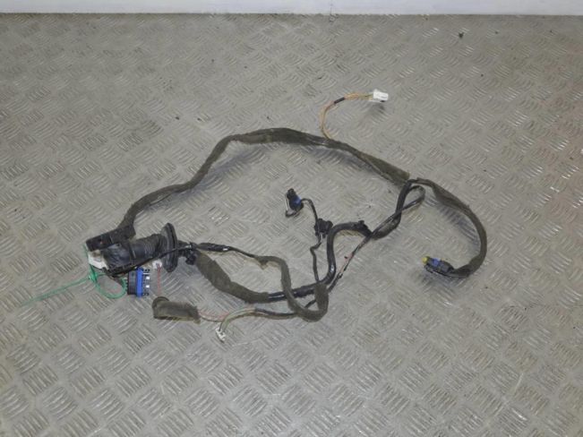Проводка двери задней правой Renault Scenic 2 (2003-2009)