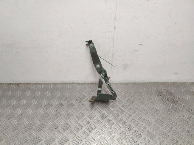 Петля капота правая Renault Scenic 2 (2003-2009)