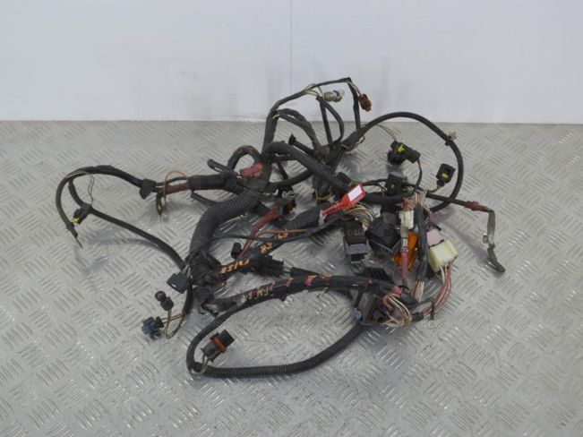 Проводка двигателя Renault Scenic 2 (2003-2009)