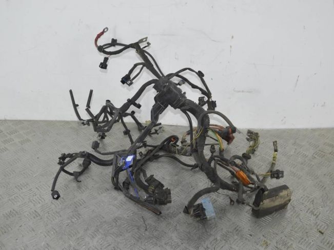 Проводка двигателя Renault Clio 3 (2005-2012)