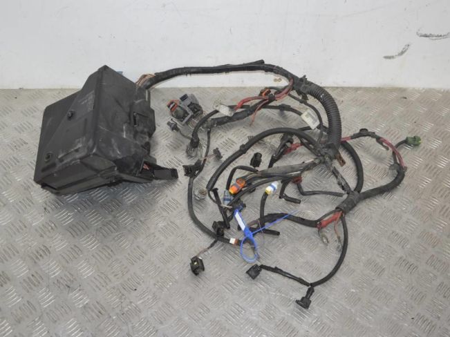 Проводка двигателя Renault Scenic 2 (2003-2009)