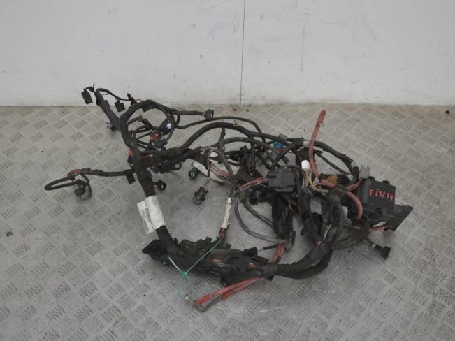 Проводка двигателя Renault Scenic 3 (2008-2015)