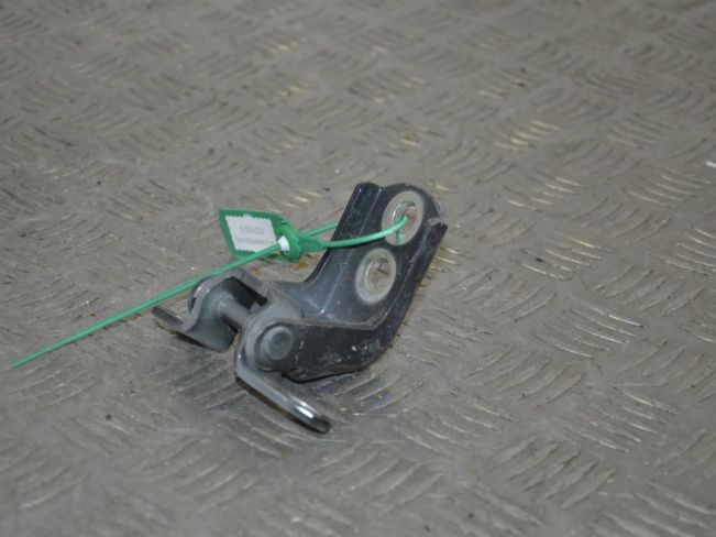 Петля двери передней правой Renault Latitude (2010-2023)
