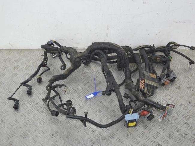 Проводка двигателя Nissan Qashqai (J10) (2006-2014)