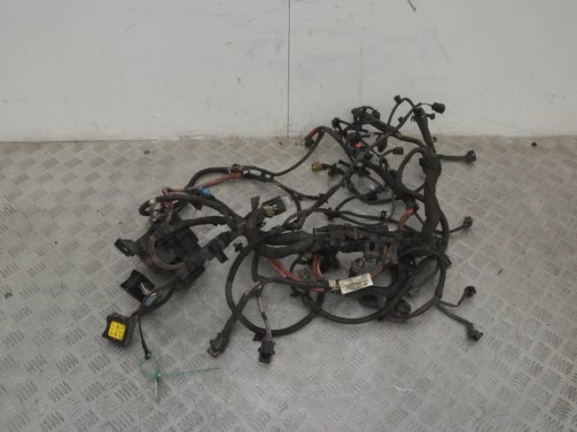 Проводка двигателя Renault Scenic 3 (2008-2015)