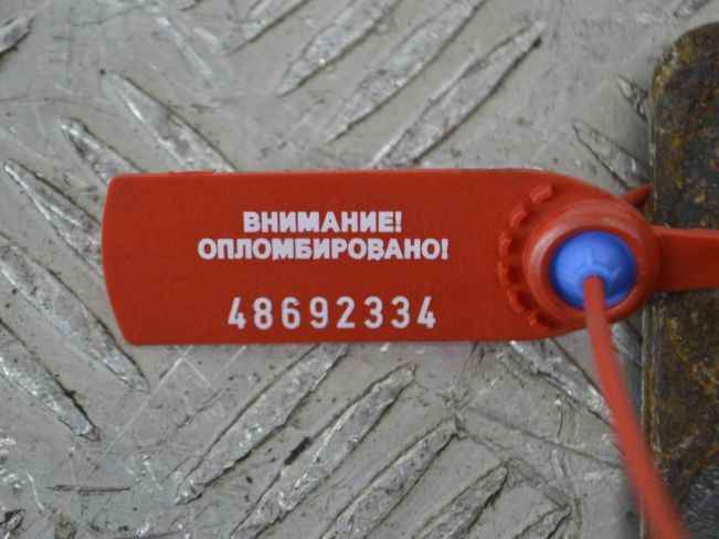Кронштейн двигателя Renault Scenic 2 (2003-2009)
