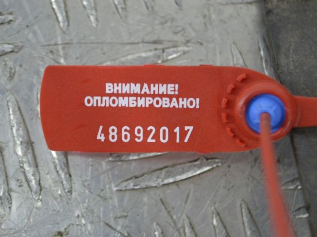 Кронштейн двигателя Renault Laguna 3 (2007-2015)