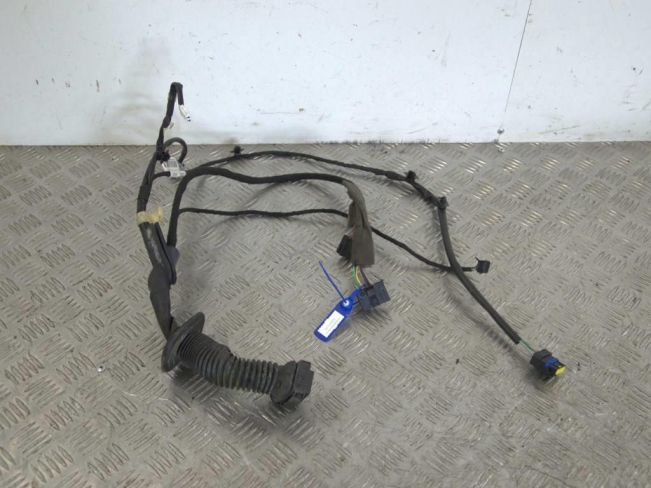 Проводка двери Renault Kangoo 2 (2007-2019)