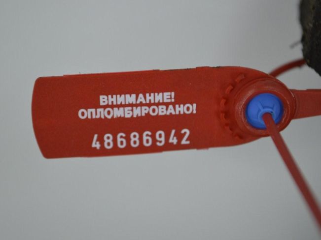 Балка подвески передняя (подрамник) Renault Vel Satis (2001-2009)