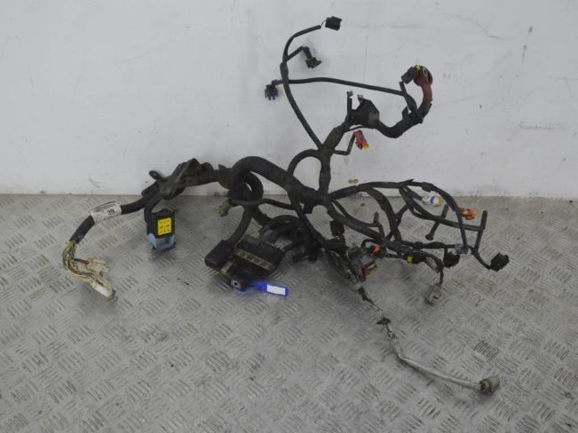 Проводка двигателя Nissan Qashqai (J10) (2006-2014)