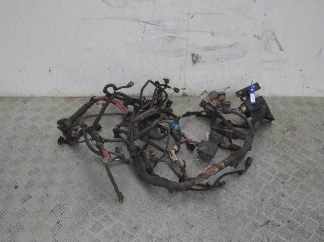 Проводка двигателя Renault Scenic 3 (2008-2015)