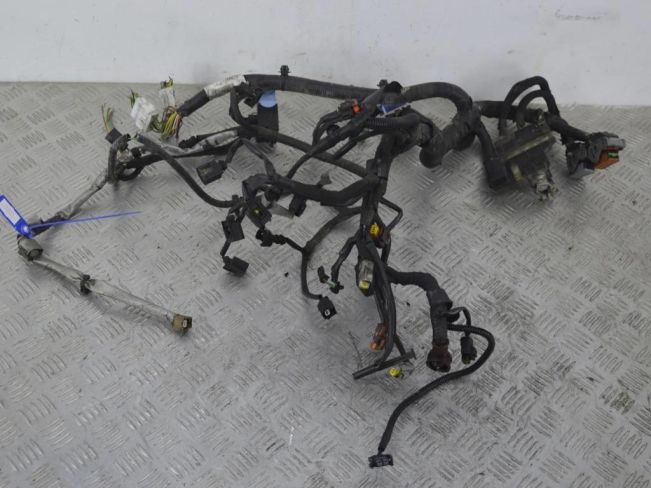 Проводка двигателя Nissan Qashqai (J10) (2006-2014)