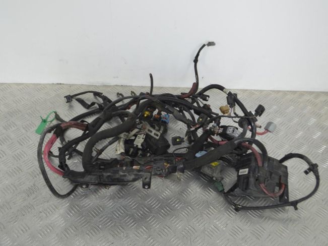 Проводка двигателя Renault Scenic 3 (2008-2015)