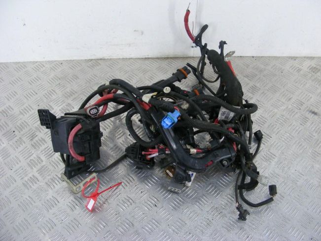 Проводка двигателя Renault Scenic 3 (2008-2015)