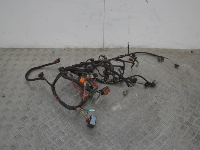 Проводка двигателя Renault Scenic 2 (2003-2009)