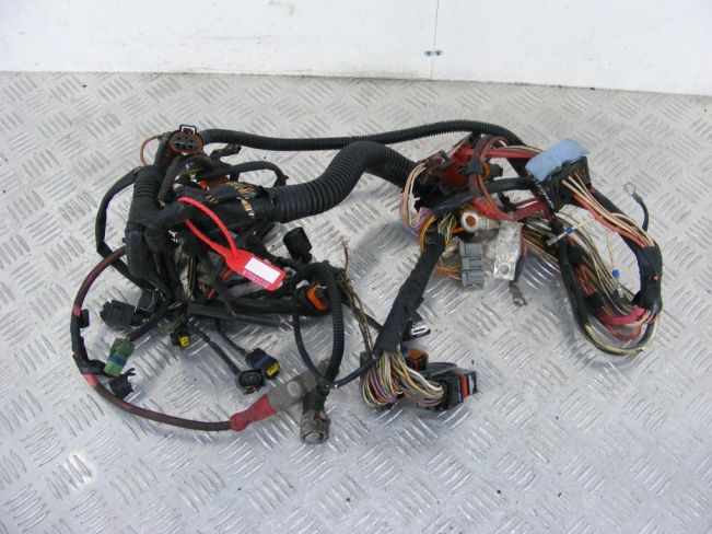 Проводка двигателя Renault Scenic 2 (2003-2009)