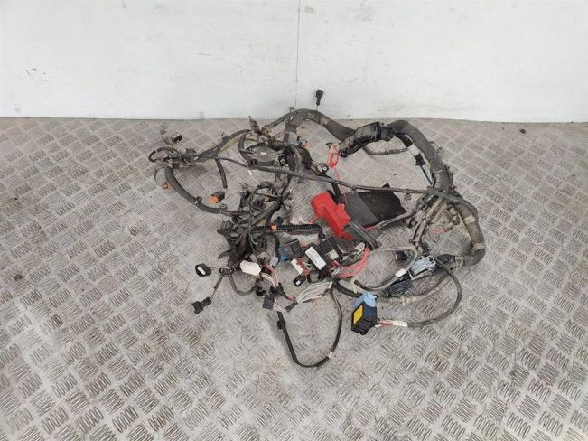 Проводка двигателя Renault Scenic 4 (2016-2021)