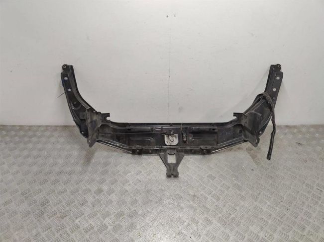 Передняя панель крепления облицовки (телевизор) Renault Vel Satis (2001-2009)
