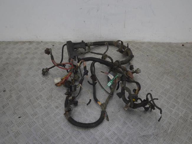 Проводка двигателя Renault Safrane (1992-2000)