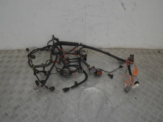 Проводка двигателя Renault Scenic 2 (2003-2009)