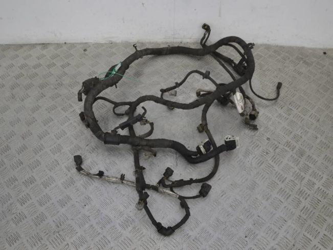 Проводка двигателя Ford Transit (2006-2013)