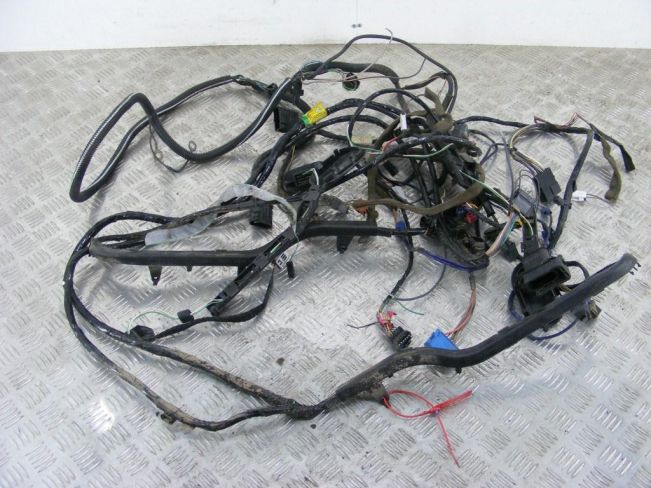 Проводка Renault Scenic 1 (1996-2003)