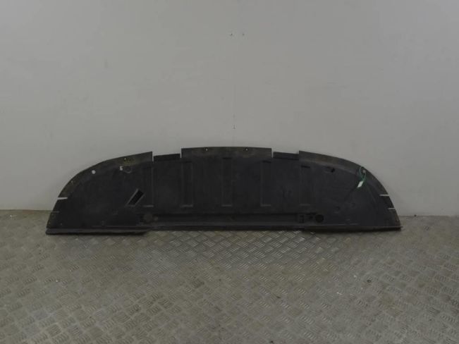 Защита бампера переднего Renault Scenic 2 (2003-2009)