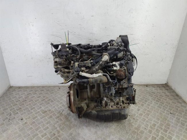 Двигатель Ford Fiesta 6 (2008-2018)