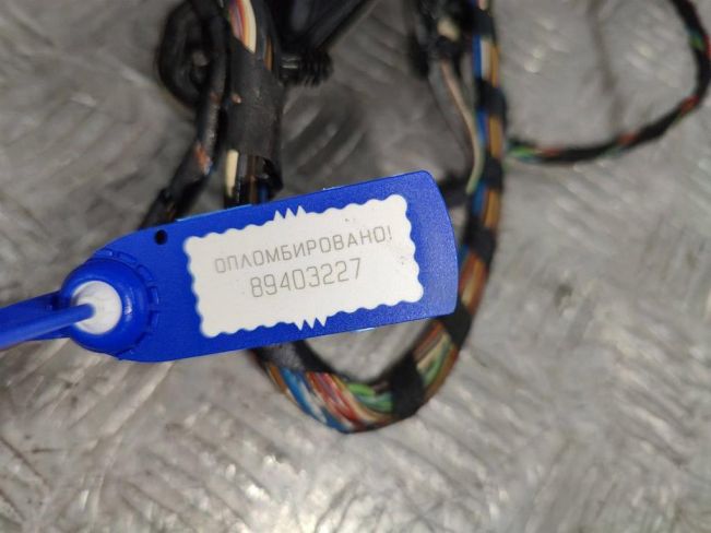 Проводка двери задней правой BMW X5 E70