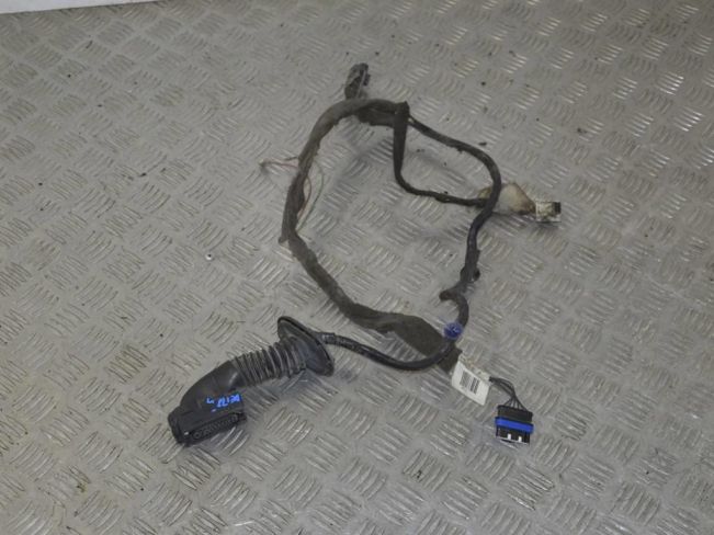 Проводка двери Renault Megane 2 (2002-2008)
