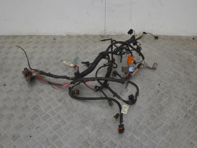 Проводка двигателя Renault Scenic 2 (2003-2009)
