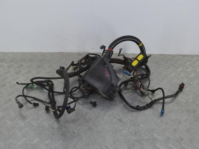 Проводка двигателя Renault Logan 1 (2004-2014)