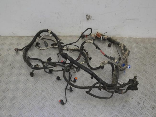 Проводка двигателя Ford S-Max (2006-2015)