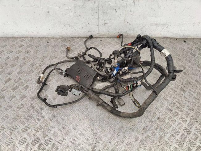 Проводка двигателя Nissan Juke (2010-2019)