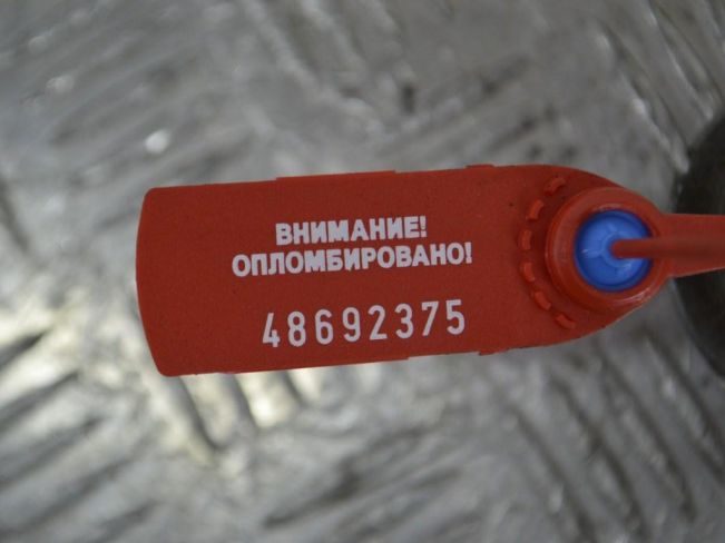 Кронштейн двигателя Renault Scenic 2 (2003-2009)