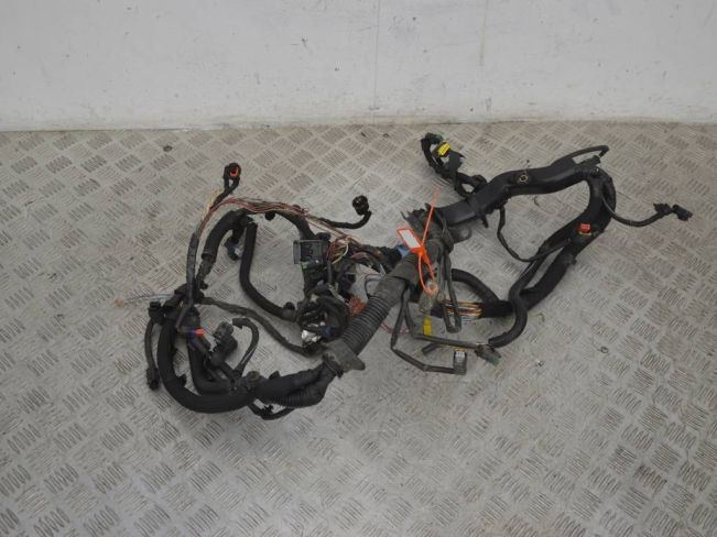 Проводка двигателя Citroen C4 Grand Picasso (2006-2013)
