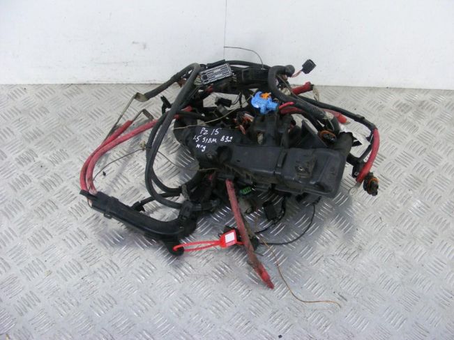 Проводка двигателя Renault Megane 3 (2009-2016)