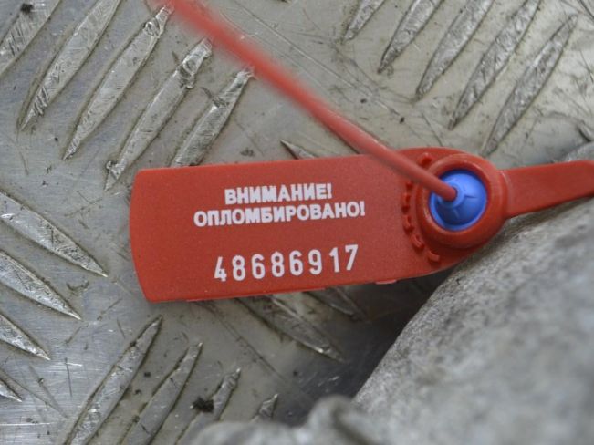 Кронштейн двигателя Renault Laguna 2 (2001-2007)