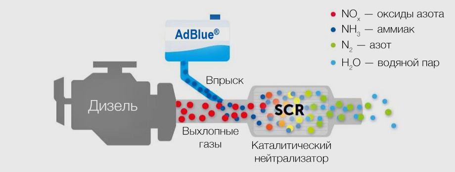 ss blue