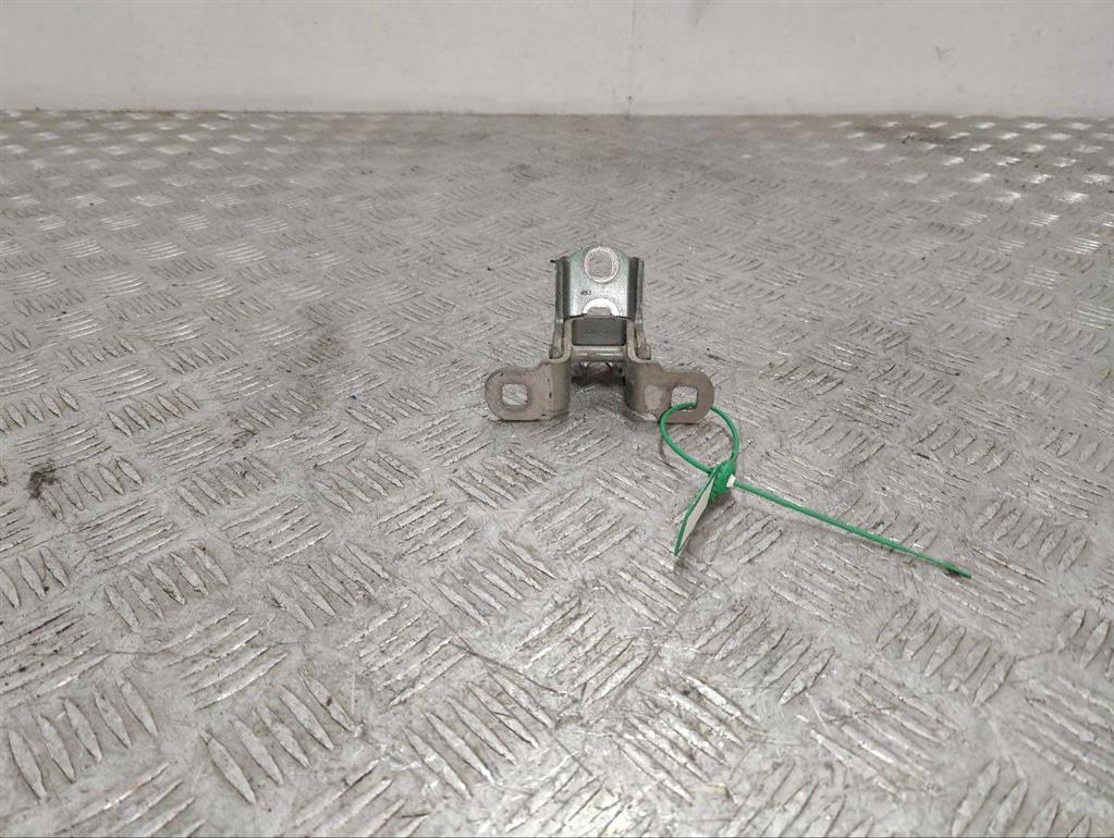 Петля двери Renault Scenic 2 (2003-2009)