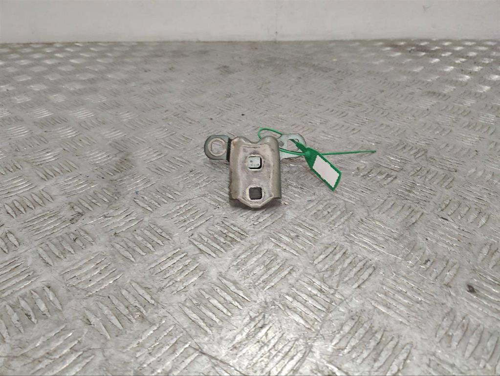 Петля двери Renault Scenic 2 (2003-2009)