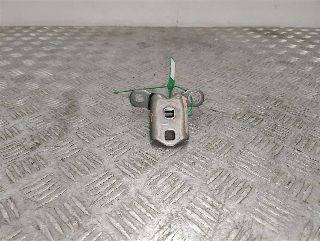 Петля двери Renault Scenic 2 (2003-2009)