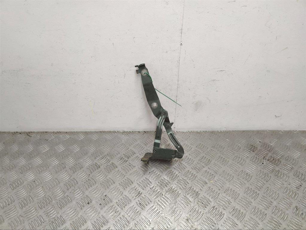 Петля капота правая Renault Scenic 2 (2003-2009)
